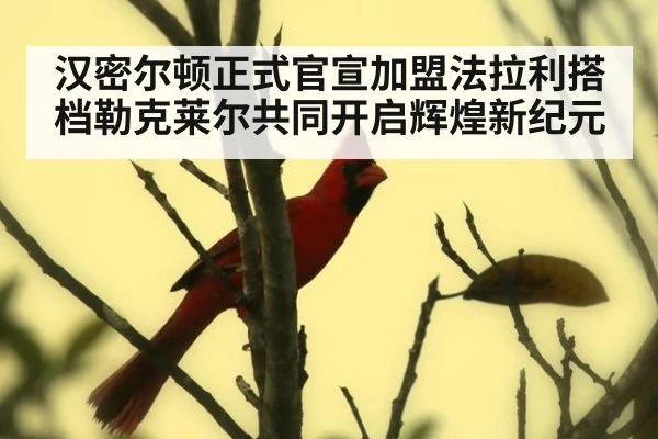 汉密尔顿正式官宣加盟法拉利搭档勒克莱尔共同开启辉煌新纪元