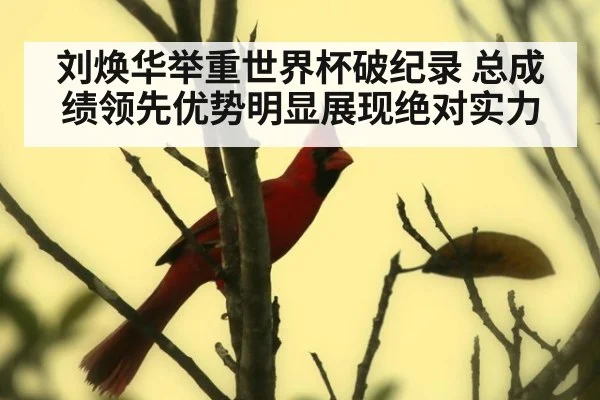 刘焕华举重世界杯破纪录 总成绩领先优势明显展现绝对实力