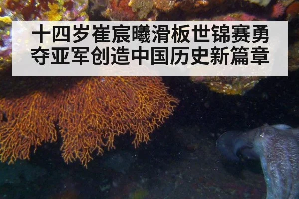 十四岁崔宸曦滑板世锦赛勇夺亚军创造中国历史新篇章